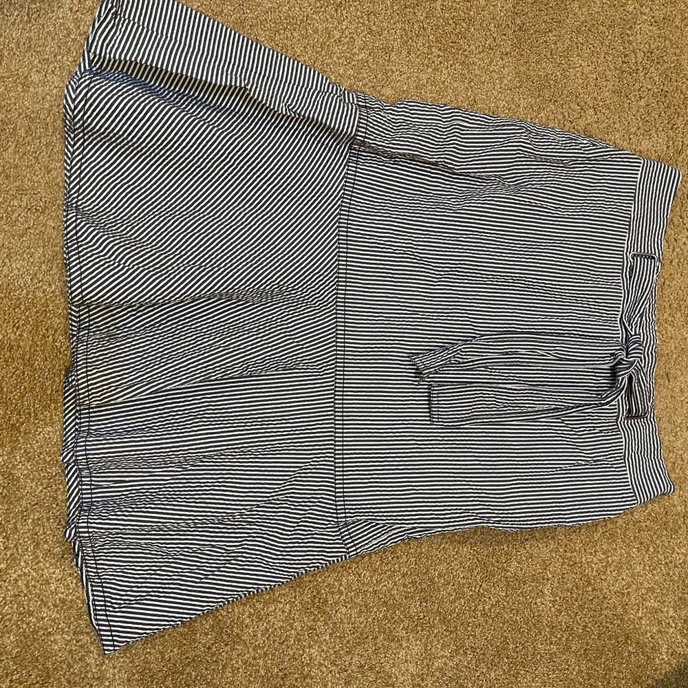 Ann Taylor rare skirt